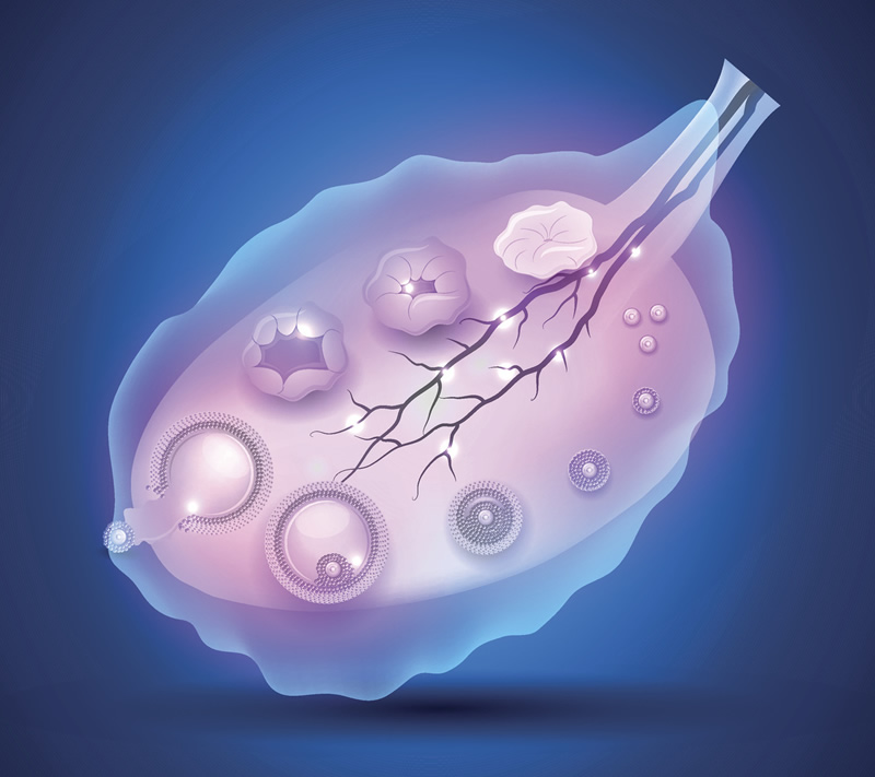 2025年幼稚子宫可以在厦门安宝医院做三代试管吗？大概要花费多少钱？